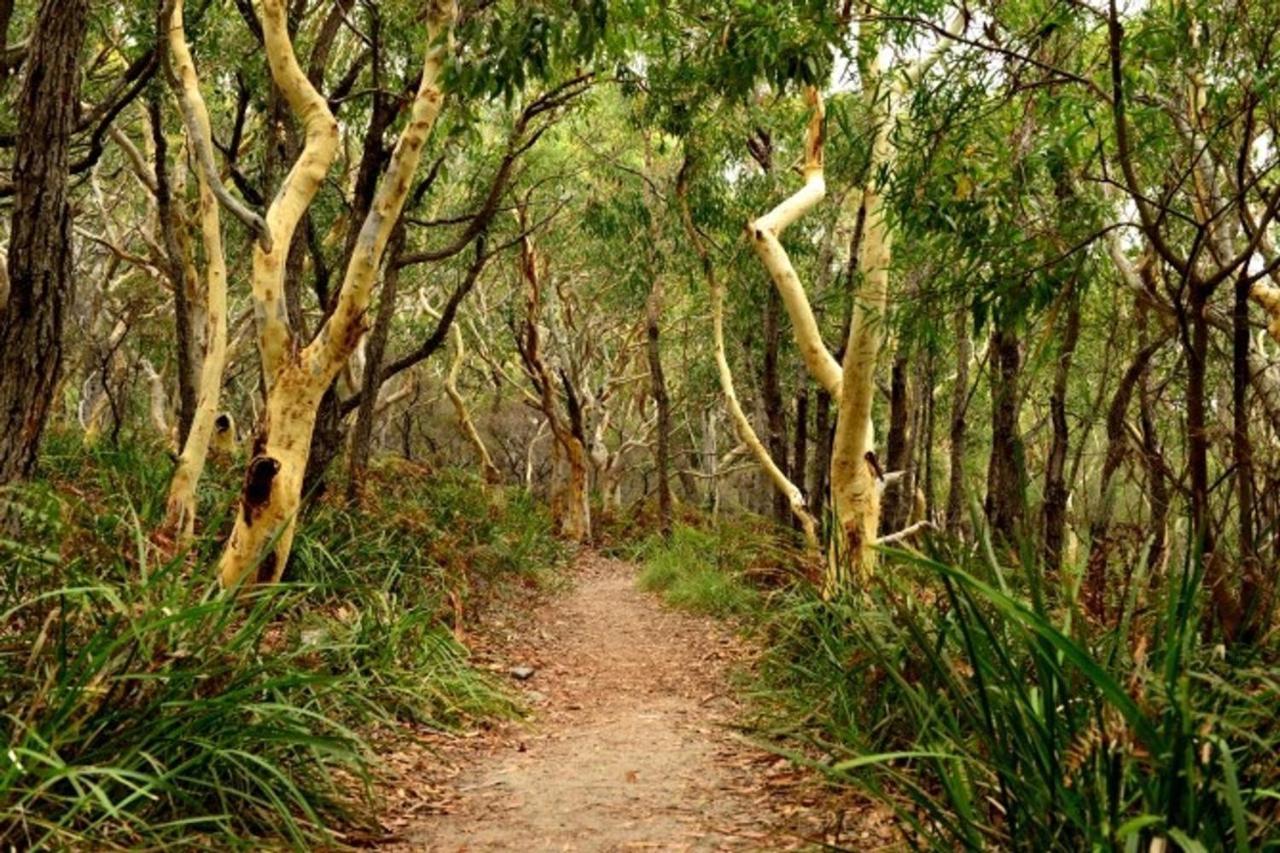 24 Hyam Rd Hyams Beach Eksteriør bilde